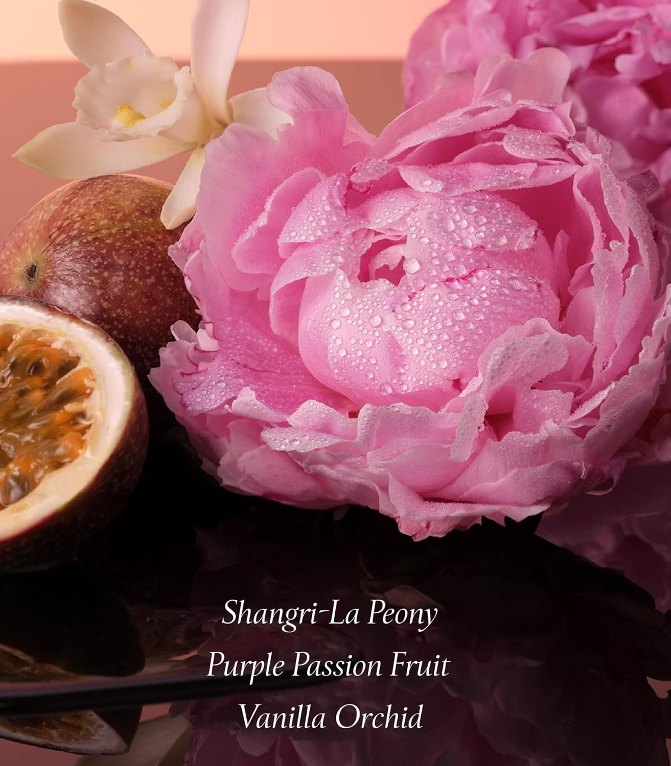Bombshell Eau De Parfum, Notes of Purple Passion Fruit, Shangri-La Peony & Vanilla Orchid, Perfumes for Women (1.7 Oz)